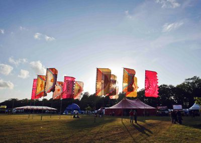 colourful flags for parties