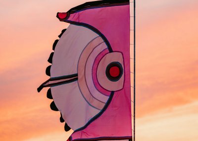 Festival event flags at sunset, showcasing vibrant colors and durable materials for outdoor celebrations.